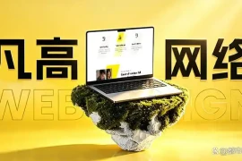 国内高适配网站建设公司全景解析，2026择优十家高品质网站设计制作企业盘点