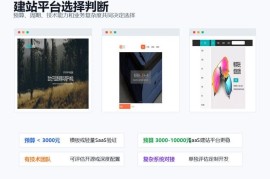 网站开发费用避坑：百元建站全是套路，小心