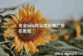 企业SEO优化推广技巧，提升排名吸引客户