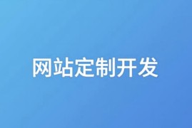 网站定制开发