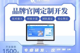 2026选网站开发团队，靠谱不踩坑的10家推荐