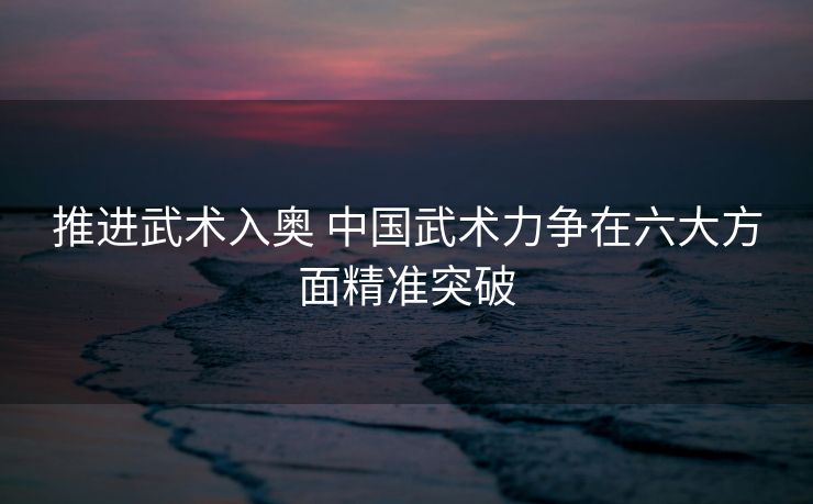 推进武术入奥 中国武术力争在六大方面精准突破