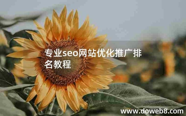 seo优化推广_SEO推广技巧方法_网站内容优化关键词选择